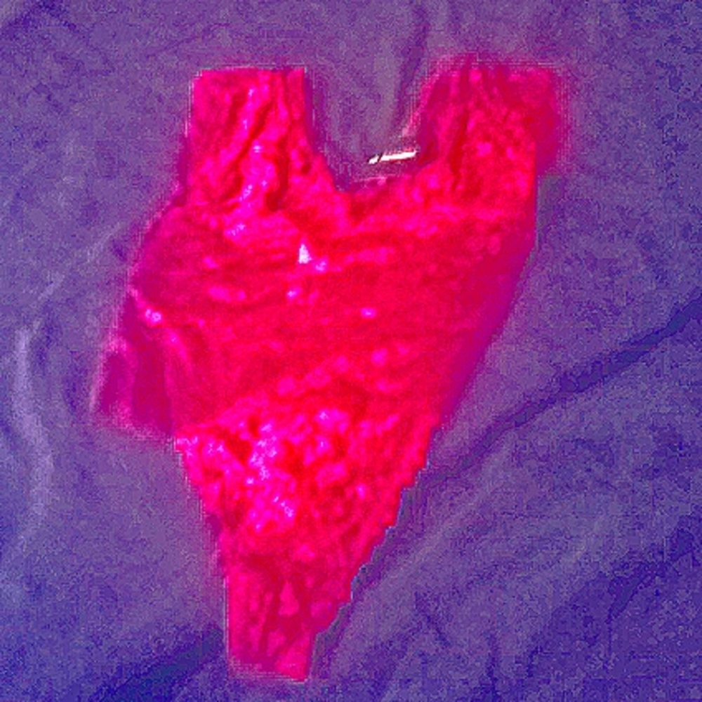 One piece Lacy top-Brand new. Forever 21. Size small. Stretch.
